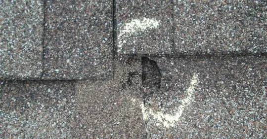 Roof Shingle with Hail Damage